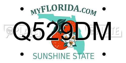 Q529DM Florida License Plate