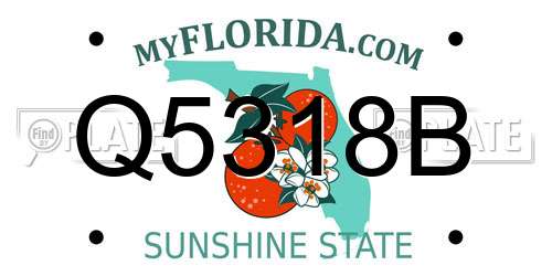 Q5318B Florida License Plate
