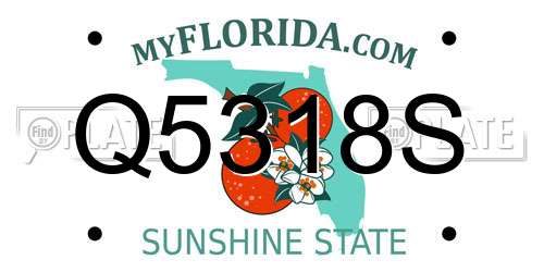 Q5318S Florida License Plate
