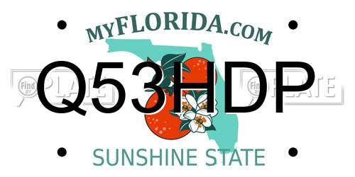 Q53HDP Florida License Plate