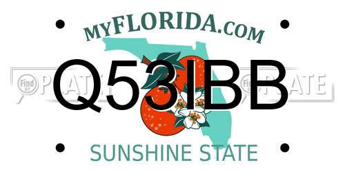 Q53IBB Florida License Plate