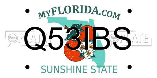 Q53IBS Florida License Plate