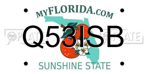 Q53ISB Florida License Plate