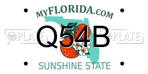 Q54B Florida License Plate