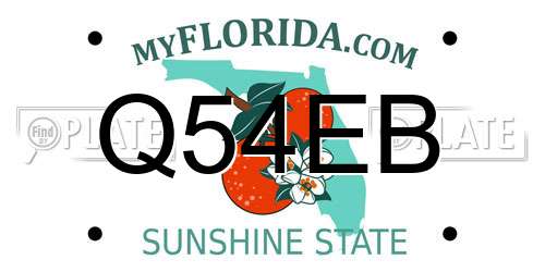 Q54EB Florida License Plate