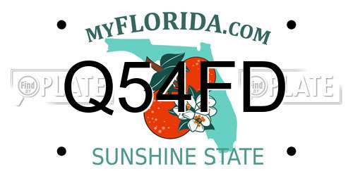 Q54FD Florida License Plate