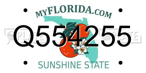 Q554255 Florida License Plate