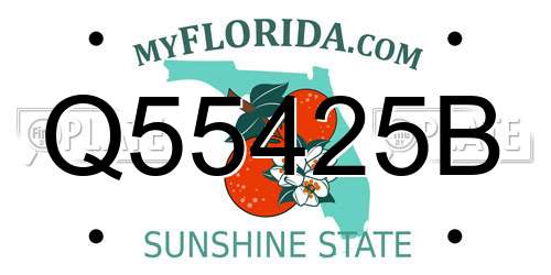 Q55425B Florida License Plate