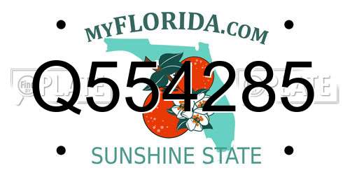 Q554285 Florida License Plate