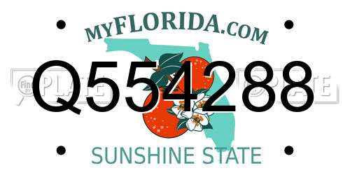 Q554288 Florida License Plate