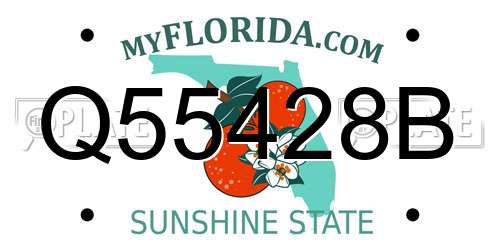 Q55428B Florida License Plate