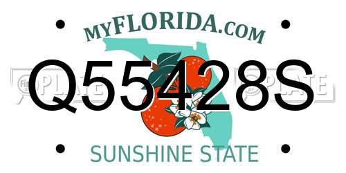 Q55428S Florida License Plate