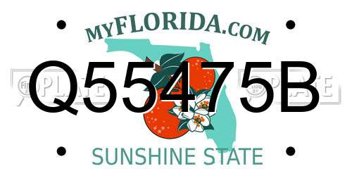 Q55475B Florida License Plate