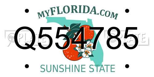 Q554785 Florida License Plate