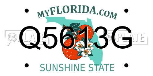 Q5613G Florida License Plate