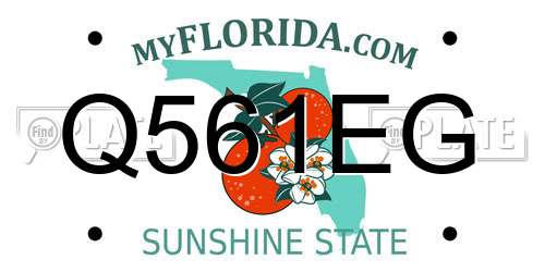 Q561EG Florida License Plate