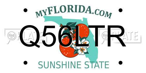 Q56LTR Florida License Plate