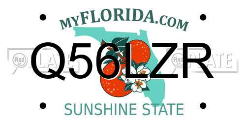 Q56LZR Florida License Plate