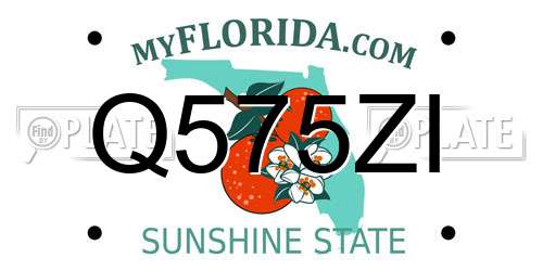 Q575ZI Florida License Plate