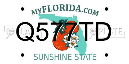 Q577TD Florida License Plate