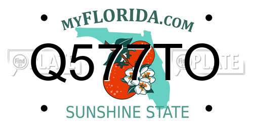 Q577TO Florida License Plate
