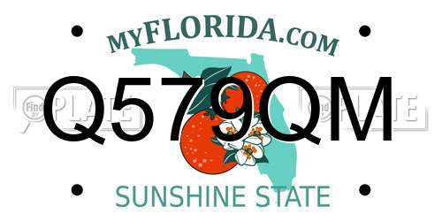 Q579QM Florida License Plate