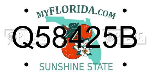 Q58425B Florida License Plate