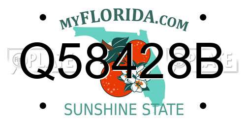 Q58428B Florida License Plate