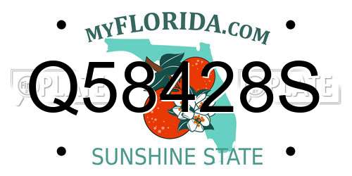Q58428S Florida License Plate