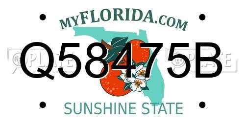 Q58475B Florida License Plate