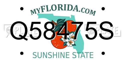 Q58475S Florida License Plate