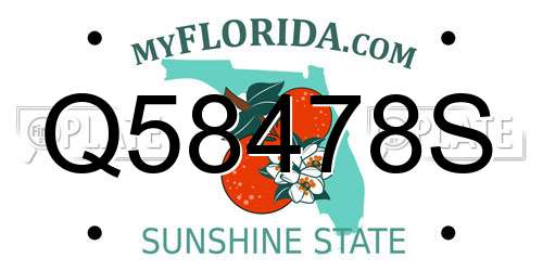 Q58478S Florida License Plate