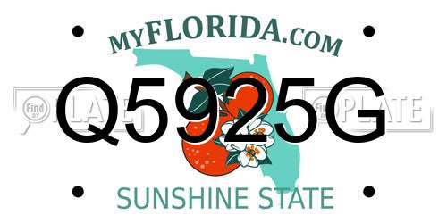 Q5925G Florida License Plate