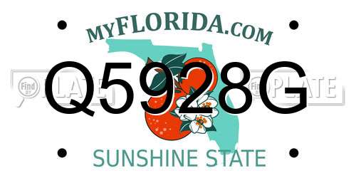 Q5928G Florida License Plate