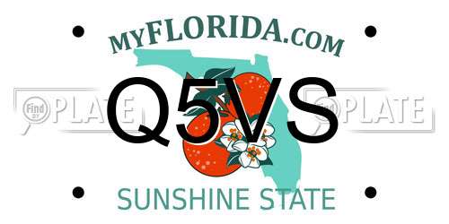 Q5VS Florida License Plate