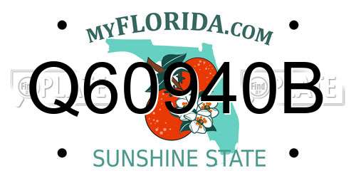 Q60940B Florida License Plate