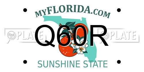 Q60R Florida License Plate