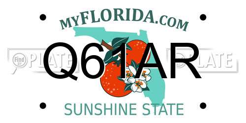 Q61AR Florida License Plate