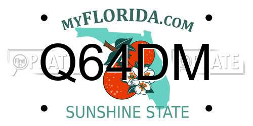 Q64DM Florida License Plate