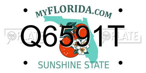 Q6591T Florida License Plate