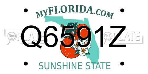 Q6591Z Florida License Plate