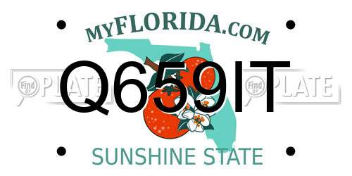 Q659IT Florida License Plate