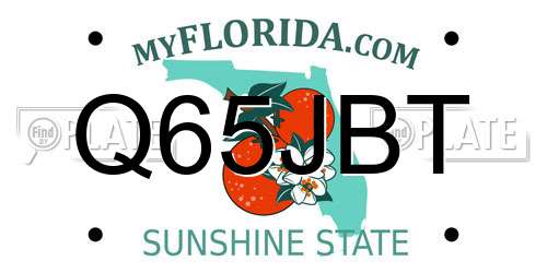 Q65JBT Florida License Plate