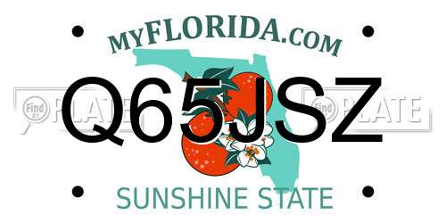 Q65JSZ Florida License Plate