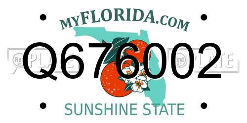 Q676002 Florida License Plate