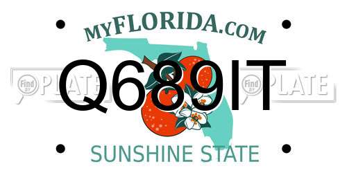 Q689IT Florida License Plate