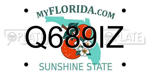Q689IZ Florida License Plate