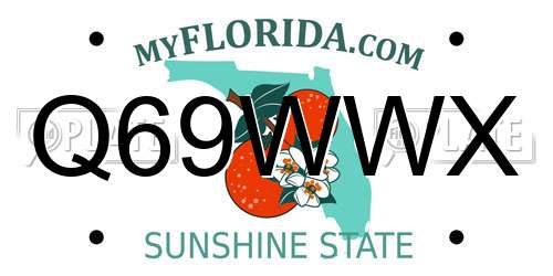 Q69WWX Florida License Plate