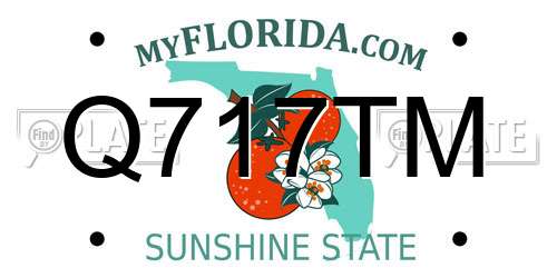 Q717TM Florida License Plate