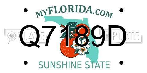 Q7189D Florida License Plate